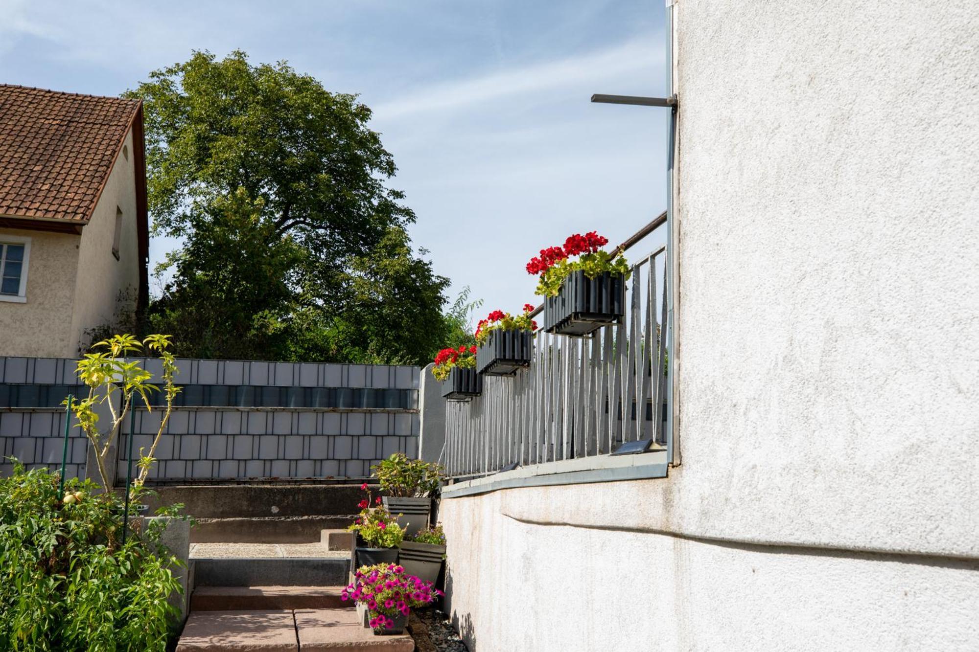 Hochrhein Ferienwohnung Albbruck Exteriér fotografie