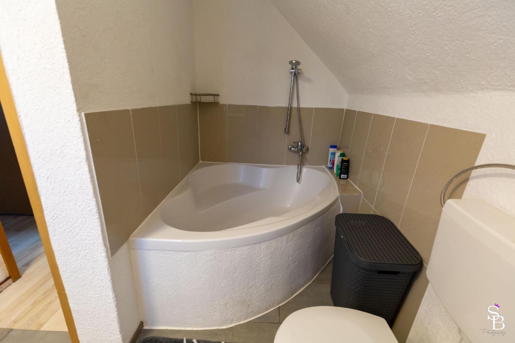 Hochrhein Ferienwohnung Albbruck Exteriér fotografie